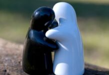 היתרונות של חלופת אשפוז וחווה שיקומית