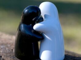 היתרונות של חלופת אשפוז וחווה שיקומית