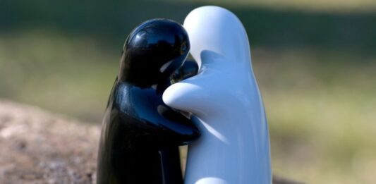 היתרונות של חלופת אשפוז וחווה שיקומית